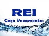 Rei Caça Vazamentos